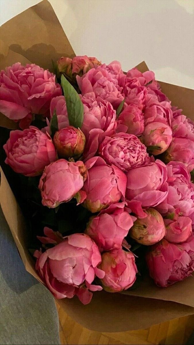 jwapoem's tweet photo. الله بيعطيني على قد ظني
وهذي تكفيني لو احيا بروحي . https://t.co/IO947MOOgI