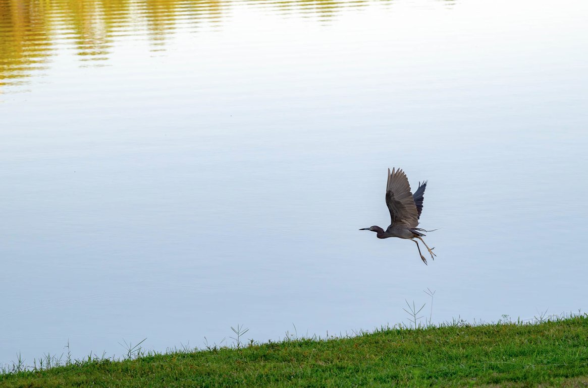 Early mornings at the Watersound Origins community 😌