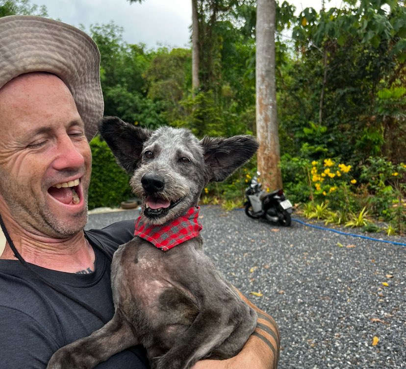 Catherine Condell (@condell_condell) on Twitter photo How gorgeous is this photo of <a href="/NiallHarbison/">Niall Harbison</a> and Billy?!
Another of his amazing rescue stories .. <a href="/NiallHarbison/">Niall Harbison</a> You’re a Saint 🐾😇🐾 How gorgeous is this photo of <a href="/NiallHarbison/">Niall Harbison</a> and Billy?!
Another of his amazing rescue stories .. <a href="/NiallHarbison/">Niall Harbison</a> You’re a Saint 🐾😇🐾