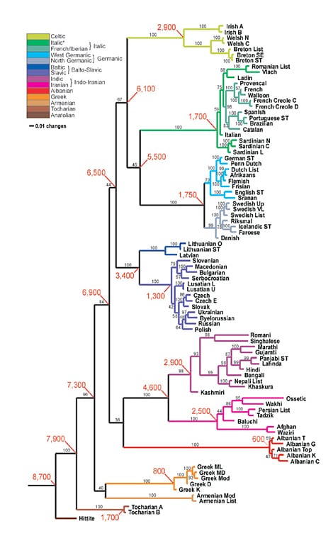 JochenPflug's tweet photo. @waitbutwhy How the languages developed is an interesting topic. I once found this nice summary tree (Ref.: Gray &amp; Atkinson, Language-tree divergence times...“ Nature 426, S. 437) https://t.co/2ZjT7UE1Au