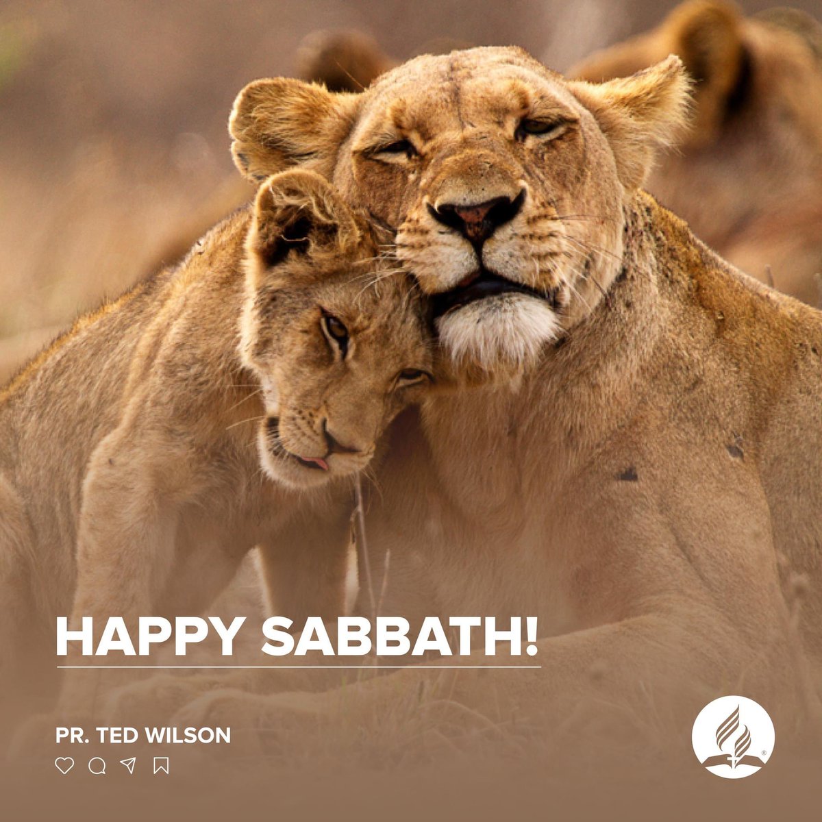Happy Sabbath!

#Sabbath #HappySabbath