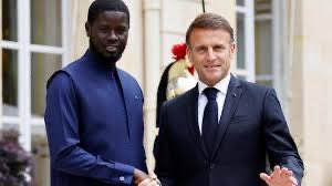 Au moment où nos troupes🇲🇱  sont en pleine confrontation avec les terroristes, la compétition mondiale la plus importante est entrain d’être célébrée qlqpart par le pays qui a causé ce malheur avec comme invité spécial l’un de nos nos frères 🇸🇳 

Au nom de quoi ? Bah de la bêtise