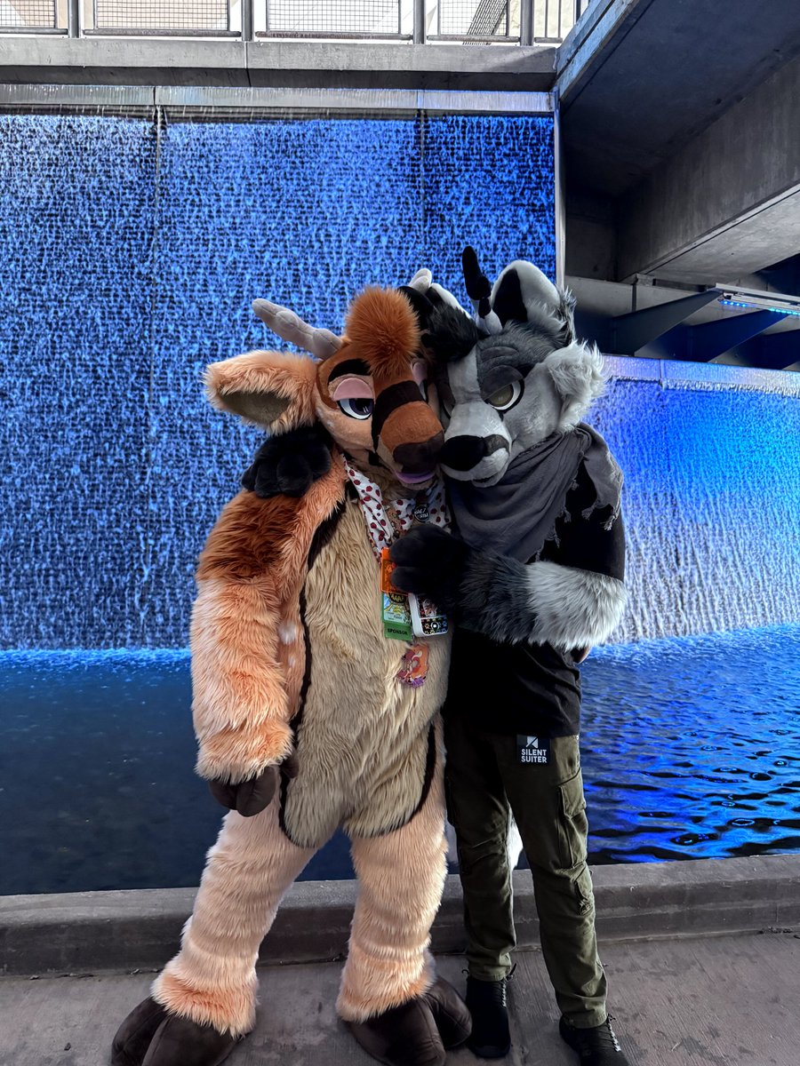 Its_Just_Rin's tweet photo. #fursuitfriday 
AC was fun, now I'm looking forward to #FSC2024 ! https://t.co/dn4SpcuRNc