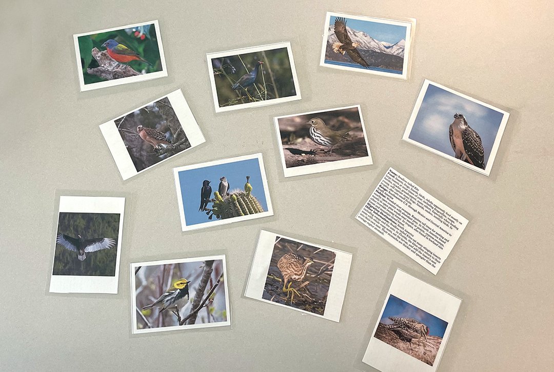 SWAPBC's tweet image. Way to go, #ReTeach Waste Program attendees! The week concluded with #FlyingWild, an investigation of bird biology and conservation. Each educator received a certificate of completion and curriculum guides. Contact 561-697-2700 or contactcis@swa.org for CS; SWA won't reply here.