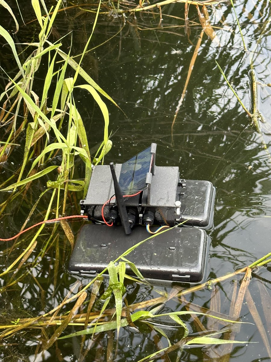 Lovely day on the river collecting aquatic plant data for <a href="/noordinarypark/">Queen Elizabeth Olympic Park</a> BioBlitz and helping <a href="/CASAUCL/">UCL CASA</a> to deploy some sensors. I love my job. <a href="/UCLEast/">UCL East campus</a>