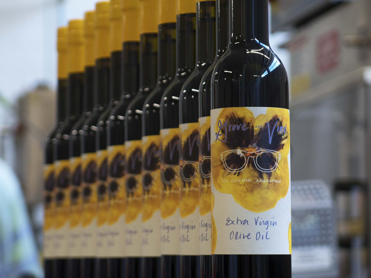 GroveAndVine's tweet photo. @GroveAndVine is pleased to announce our collaboration with Alonso in Litueche, Chile for the 35th installment of The Coleman Collection!  This May 2024 early-harvest monocultivar Picual EVOO is shipping now at https://t.co/Licr54lId4 https://t.co/wFeoLX5AaP