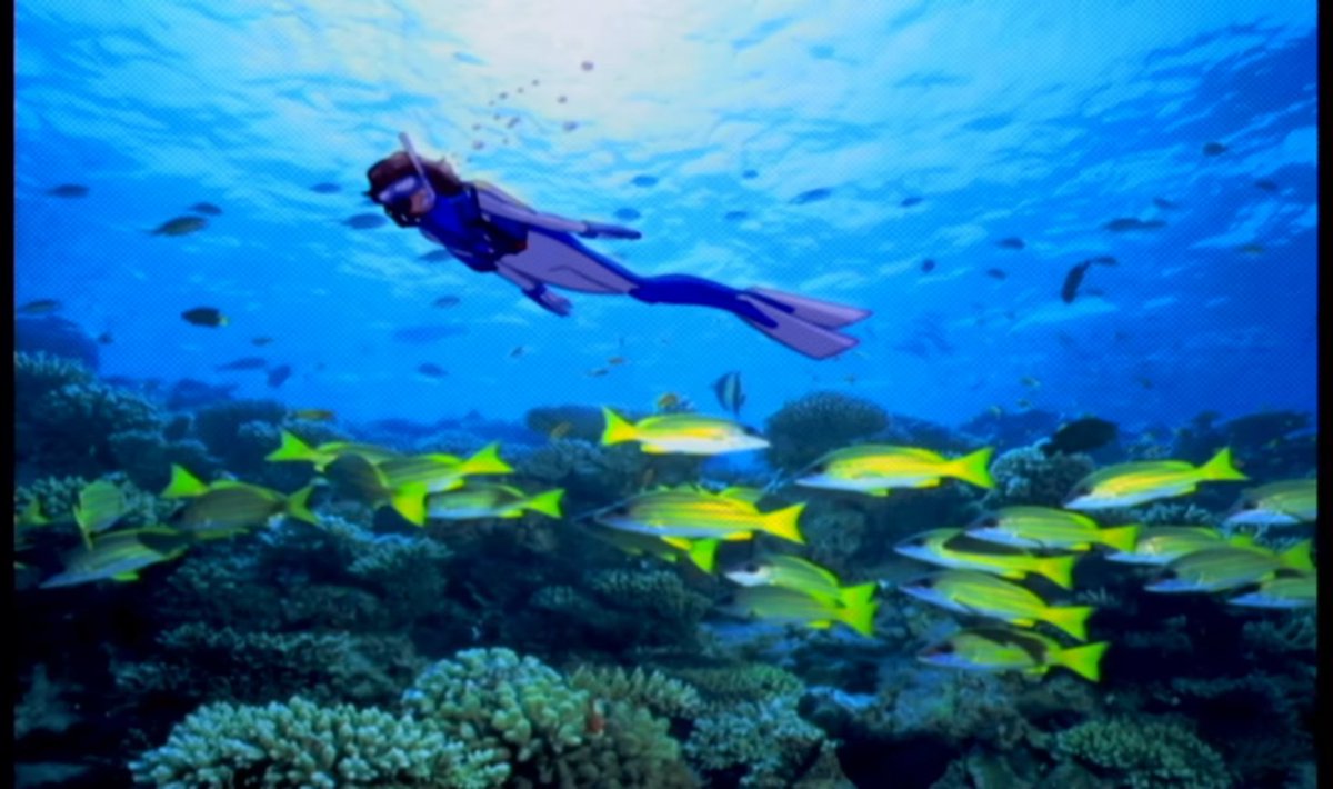 北へ。White Illuminationより スキューバダイビング🤿 をする。春野