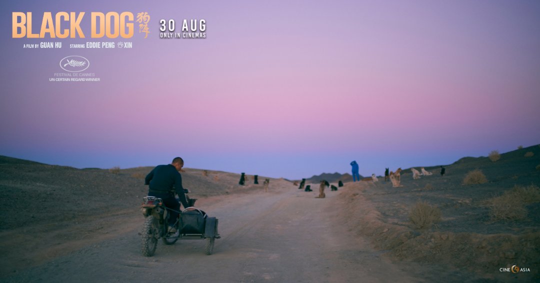 CineAsiaUK's tweet photo. In BLACK DOG, Guan Hu masterfully uses wide shots to emphasise the protagonist's isolation against the vast and stark landscape of the Northwest. Lang (Eddie Peng) appears as a mere dot against this decaying backdrop, trudging forward yet forever trapped. In cinemas on 30 AUG. https://t.co/3Ly2iiugqA