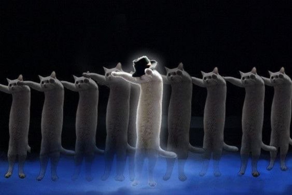 Nobiko Coin のびこコイン tweet media