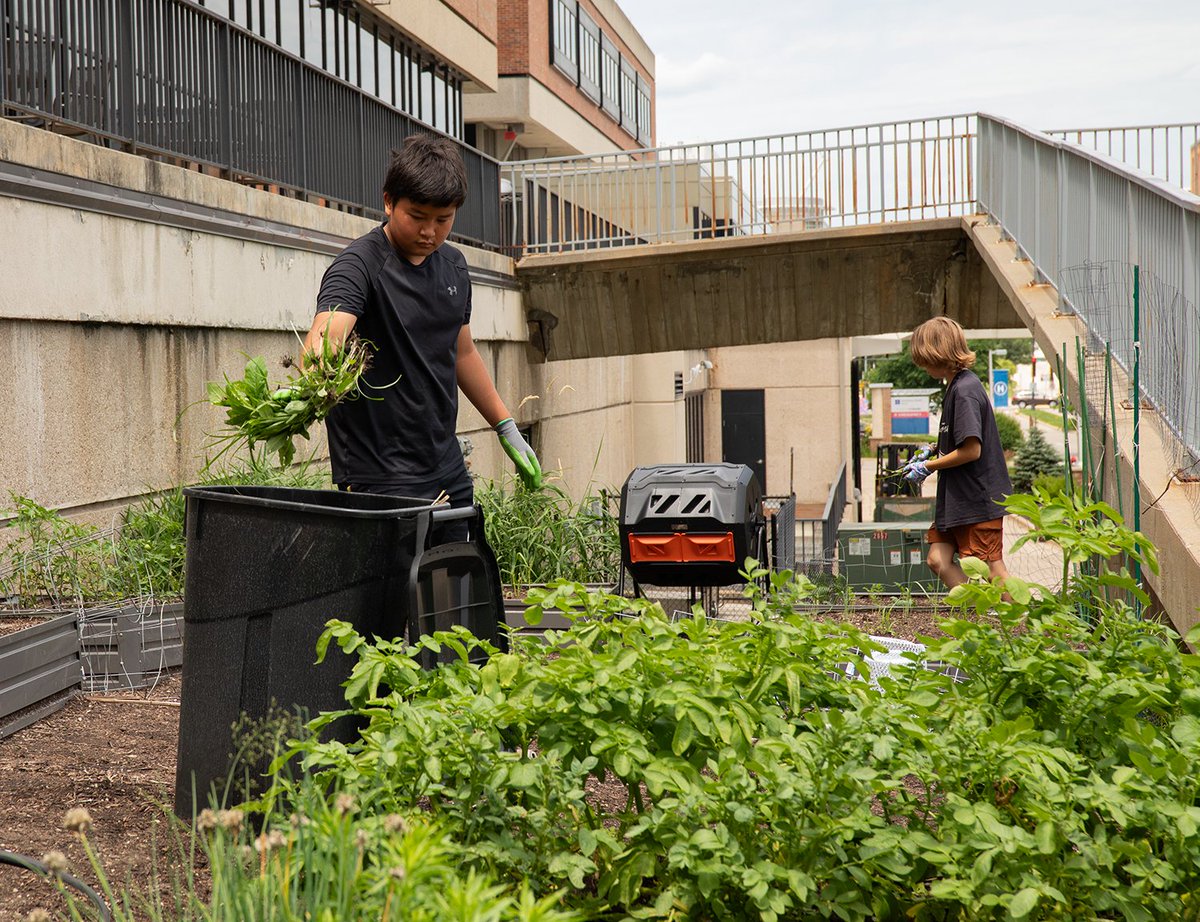 The Bayview Foundation's community garden at UnityPoint Health - Meriter is part of a program where kids 12-13 learn hands-on gardening. They grow produce for Bayview's food pantry and cooking classes, promoting healthy habits and tackling food insecurity. 🍅🥕