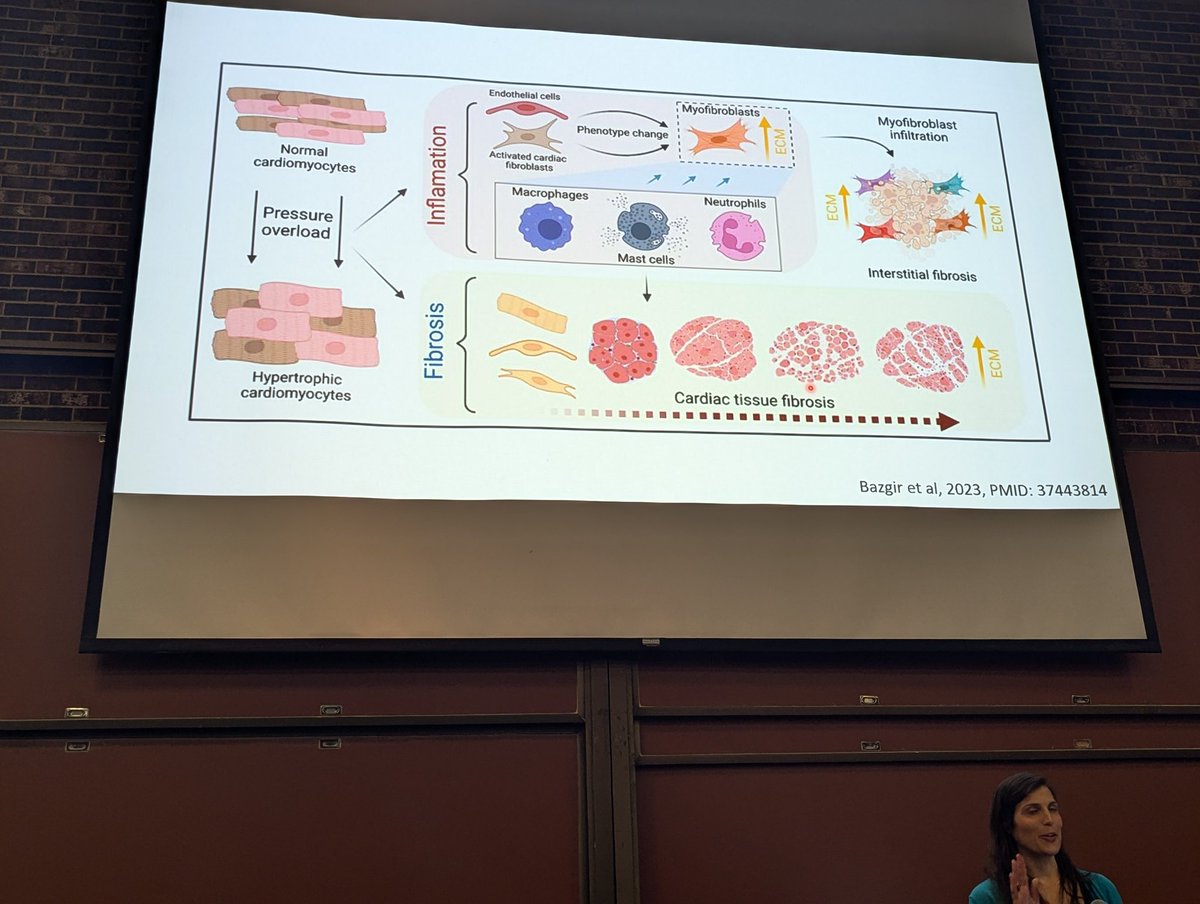 Stephen Juraschek MD, PhD, FAHA, AHSCP-CHS (@spjuraschek) on Twitter photo Visualization of changes in tissue from hypertension
Presented by Dr. garvin <a href="/HTNsummerschool/">AJH Hypertension Summer School</a> <a href="/amjhypertension/">American Journal of Hypertension</a> Visualization of changes in tissue from hypertension
Presented by Dr. garvin <a href="/HTNsummerschool/">AJH Hypertension Summer School</a> <a href="/amjhypertension/">American Journal of Hypertension</a>