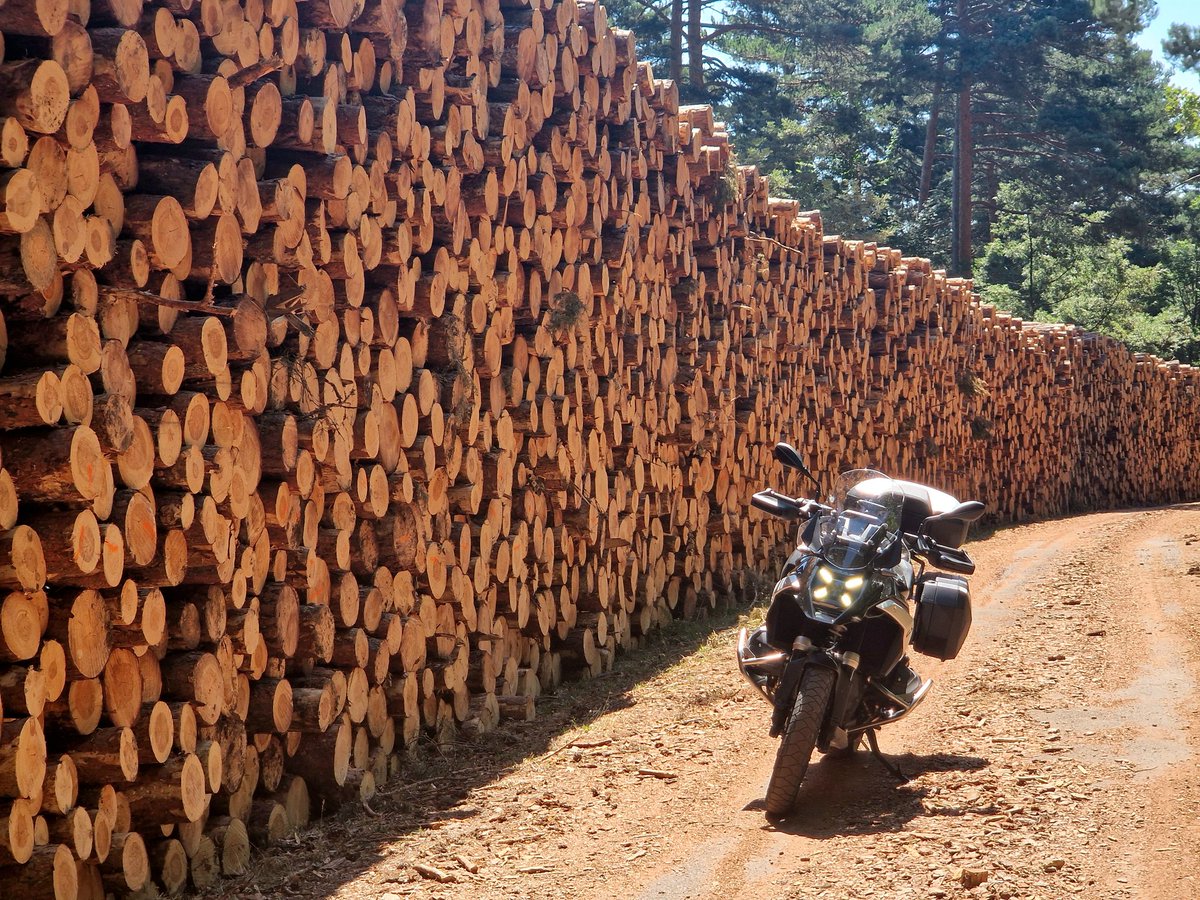 Más madera, traer madera... es la guerra 📣📣📣
#lasrutasdelkomandante