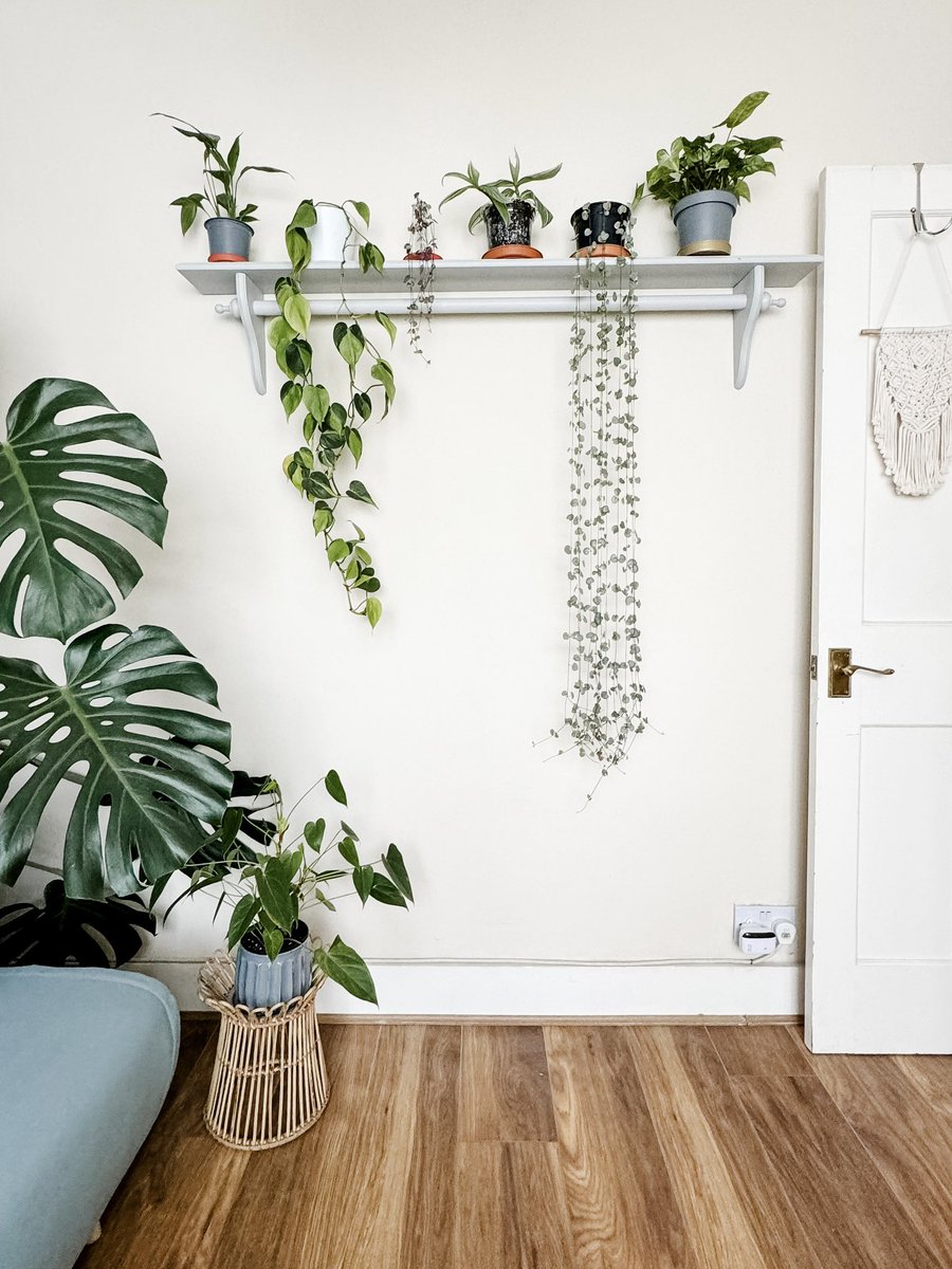 Happy Friday! 🌿 Put up a new shelf for houseplants, which I can also use  as my macrame station!🧶 So happy how it turned out!🤍