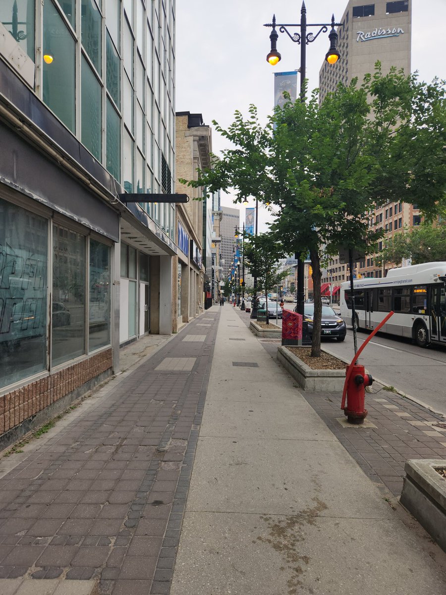 Jino Distasio tweet media