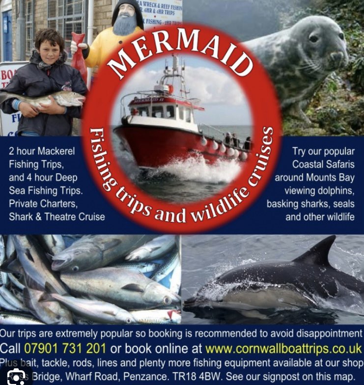 Whilst staying at Gunvor Cottage try one of the many wildlife boat trips in Cornwall such as Mermaid in Penzance 
Click on the link below for more information 
cornwallboattrips.co.uk