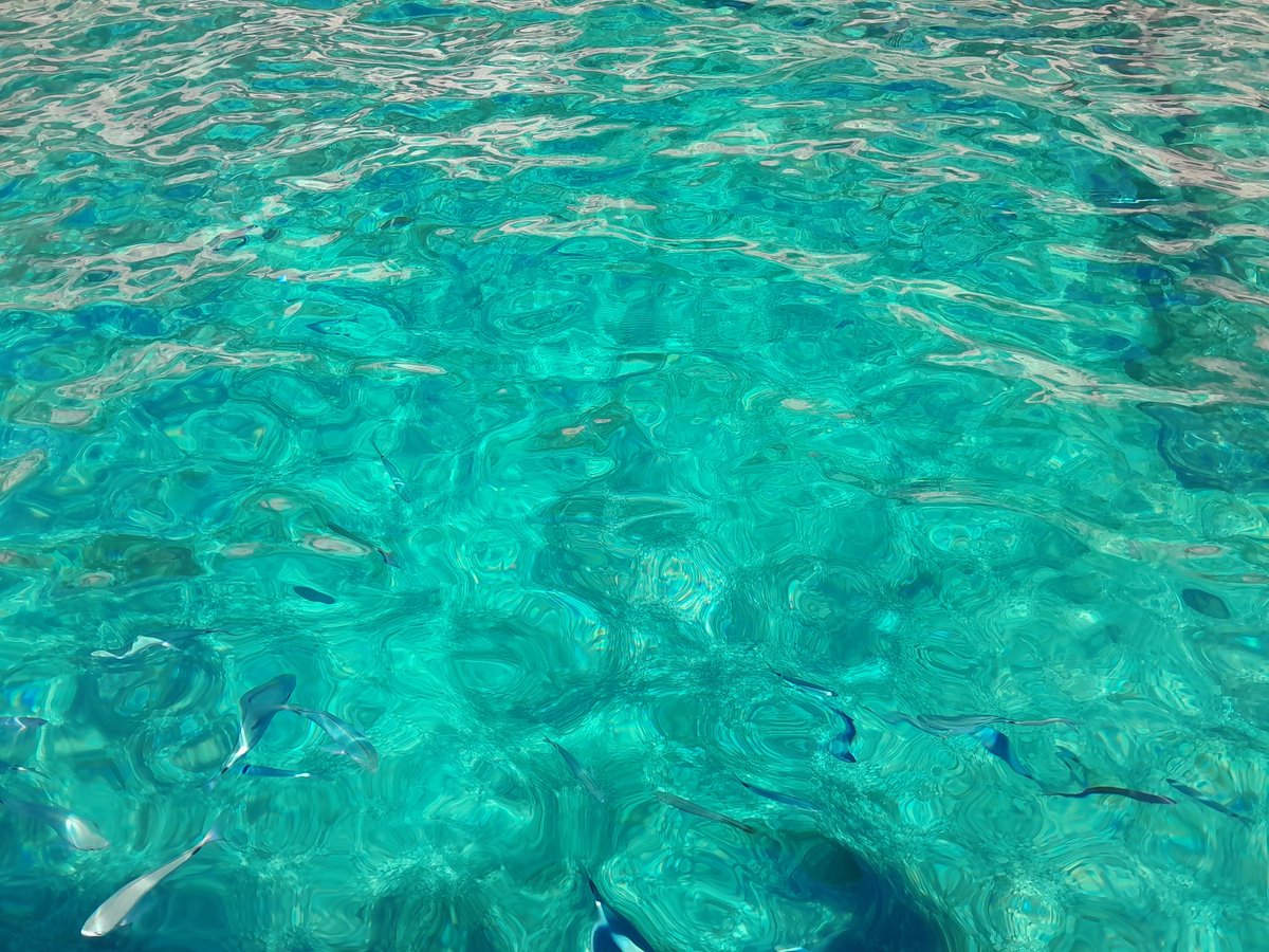coolfinice's tweet photo. Exceptionnelle journée dans les calanques grâce à @cordobastien ! C'est même pas qu'on recommande , c'est un passage obligé . #sormiou#morgiou#marseille https://t.co/1s2QBQKqw1