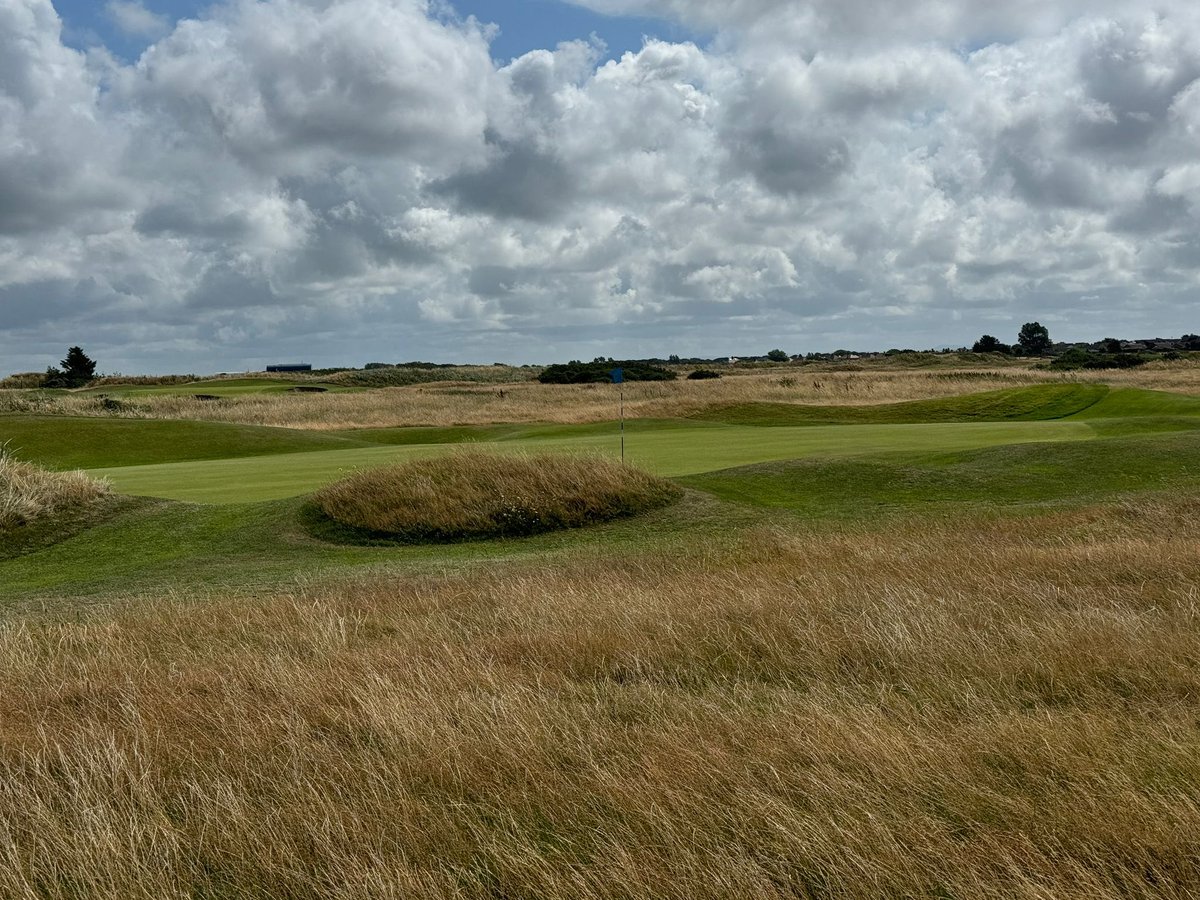 Nick Lofthouse tweet media