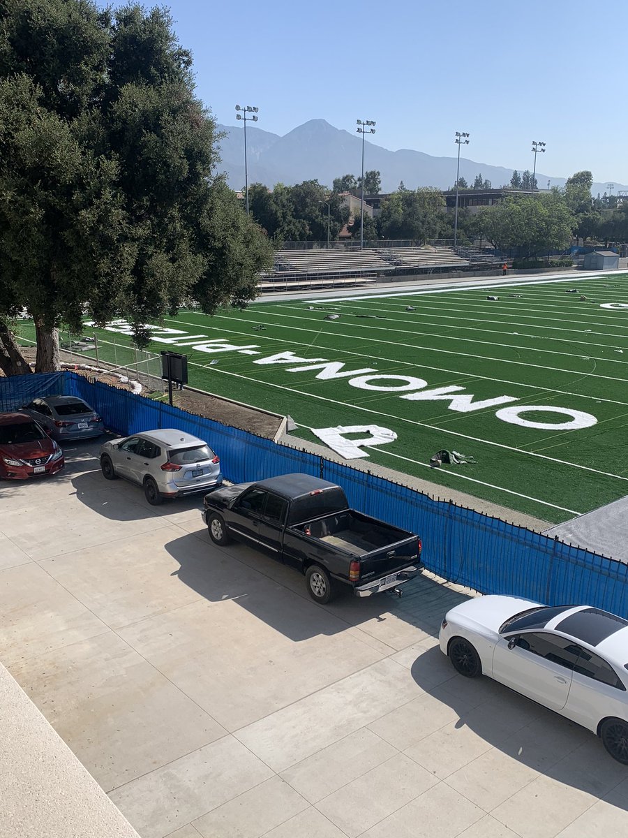 LETS GOOO!! New field is coming along nicely!! 🐔 #chrip #chirp
