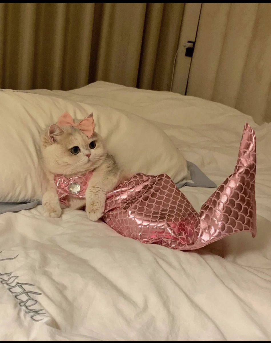 تو فکر کردی که هسی؟
من: