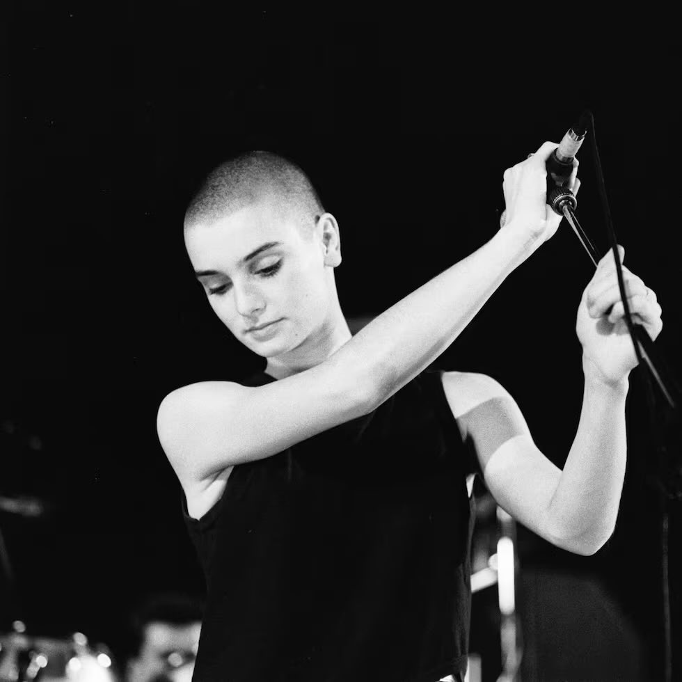 La Parada de los Sueños tweet media