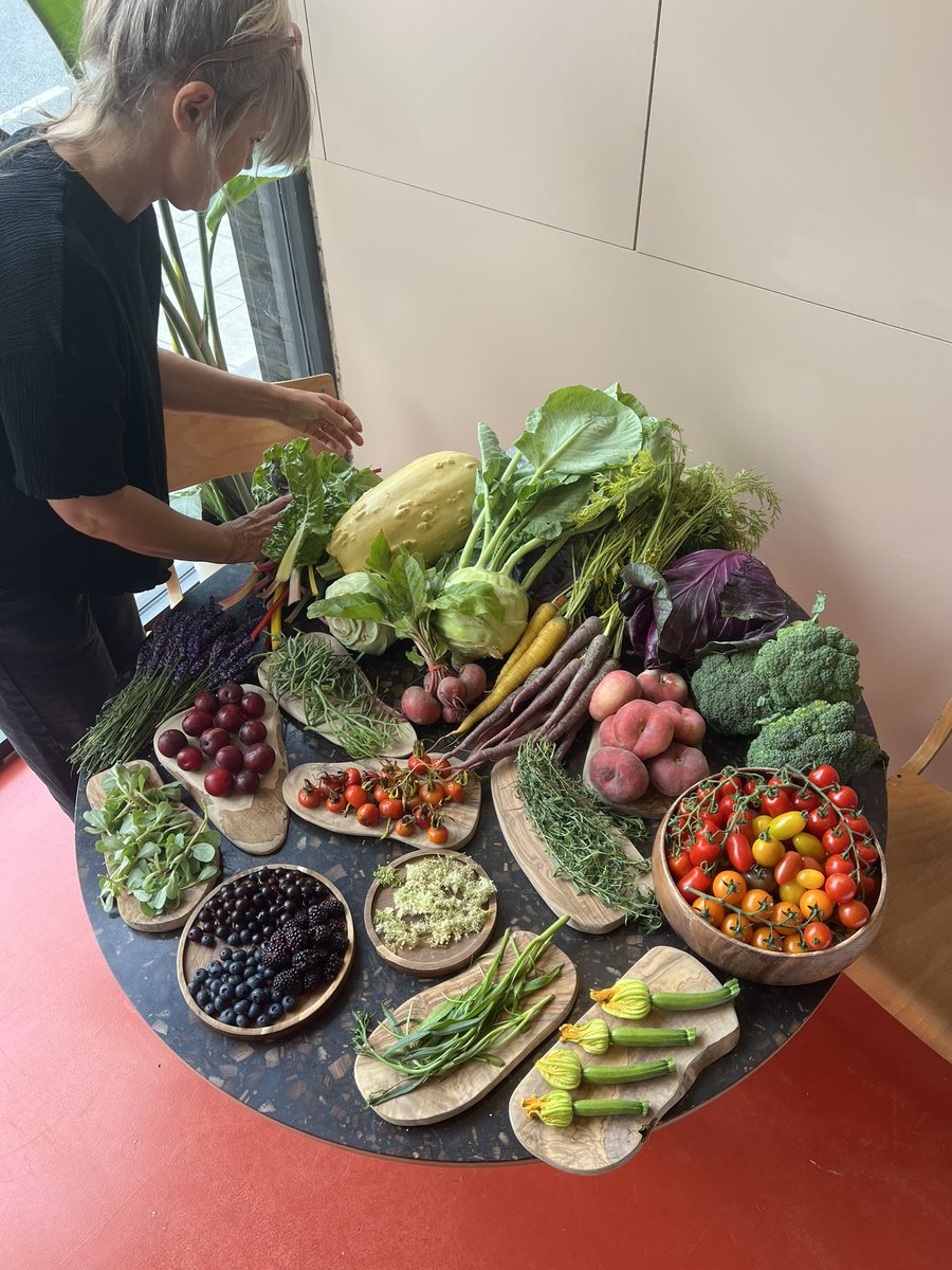 fat gay vegan tweet media