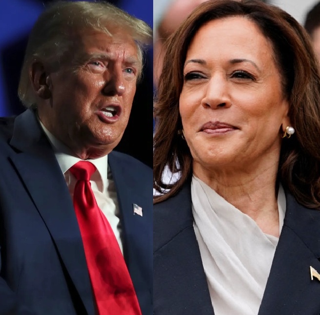 OccupyDemocrats's tweet image. BREAKING: Donald Trump gets stunningly bad news as polling reveals that 0% of Black voters in the swing stage of Michigan support him for president — a historically bad metric.

And it gets even better...

The WDIV/Detroit News poll discovered that 82.1% of Black voters in…