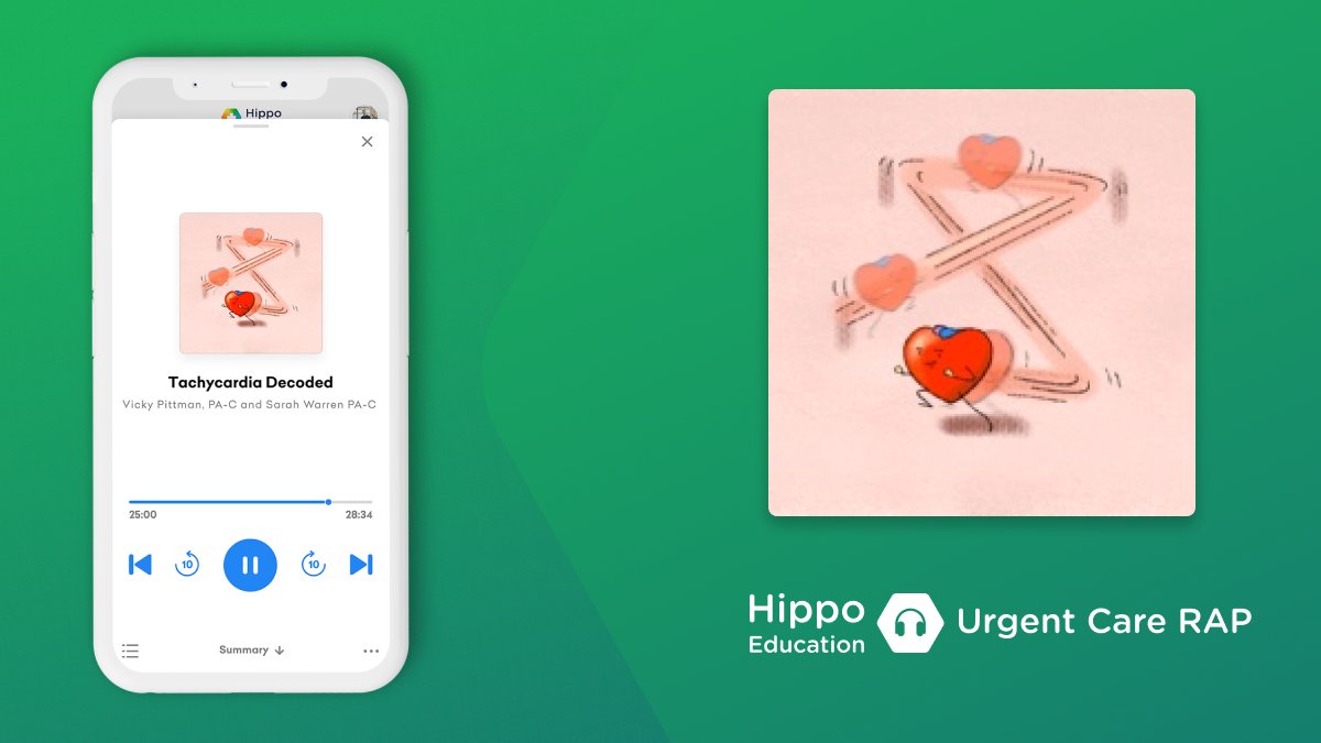 Hippo Education tweet media