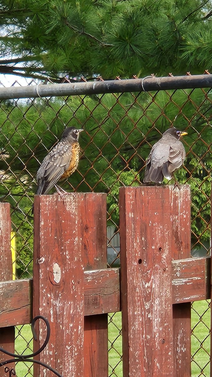 Dave S 🇨🇦🇬🇧 tweet media