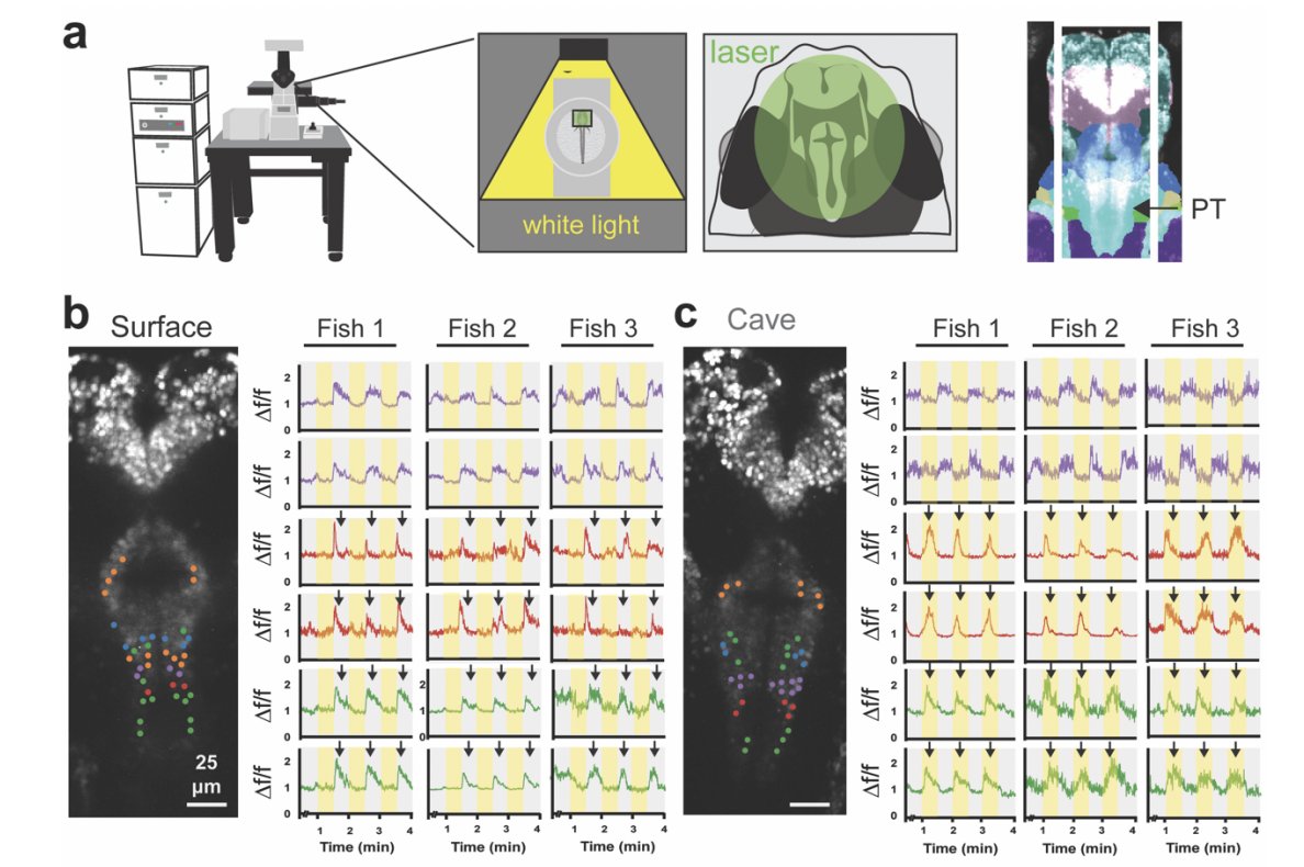 Erik Duboué tweet media