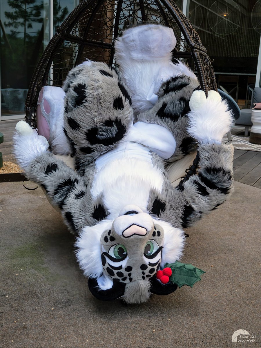 HollySnep's tweet photo. Why are you upside down? 

#FursuitFriday
📸: @HeliosSnowCat https://t.co/sujqYFrnjy