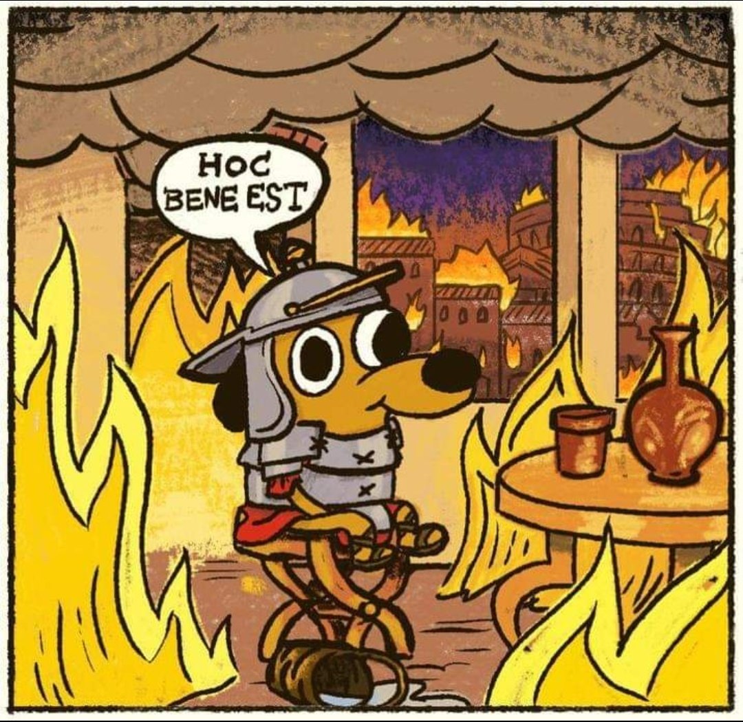 phil_lol_ogist's tweet photo. Nero doggo https://t.co/WcRnG7gjXb