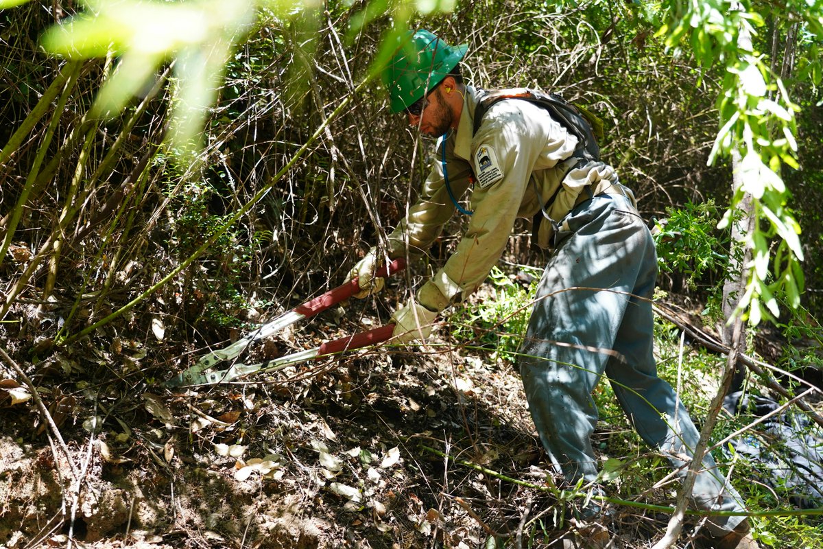 San Jose Conservation Corps + Charter School tweet media