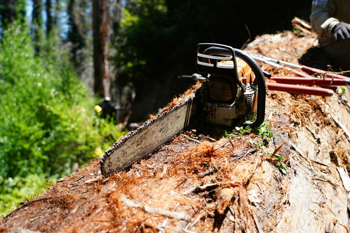 San Jose Conservation Corps + Charter School tweet media