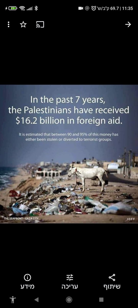 Dov Meller tweet media