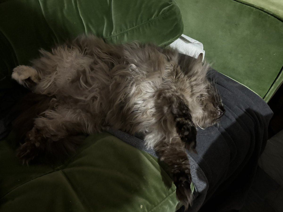 Heather 🔩🧊 tweet media