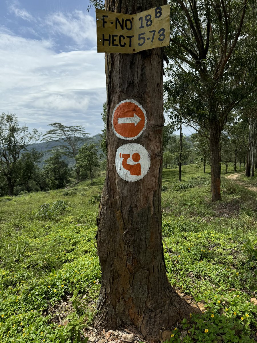 SLTravelCouple's tweet photo. Pekoe Trail ~ Level 01 ~ Hantana to Galaha https://t.co/spYFlkoD4i