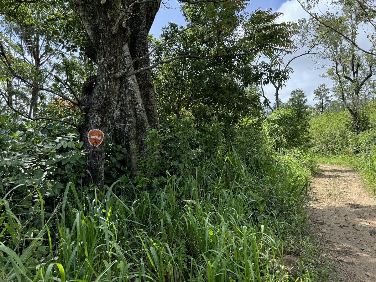 SLTravelCouple's tweet photo. Pekoe Trail ~ Level 01 ~ Hantana to Galaha https://t.co/spYFlkoD4i