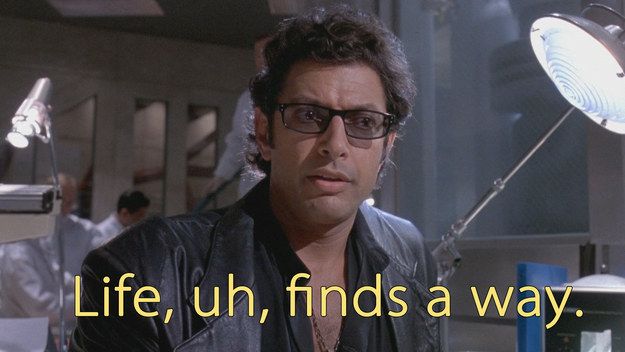 allyrdatarb2us's tweet photo. Jurassic park moment https://t.co/KfGOWIX2g4