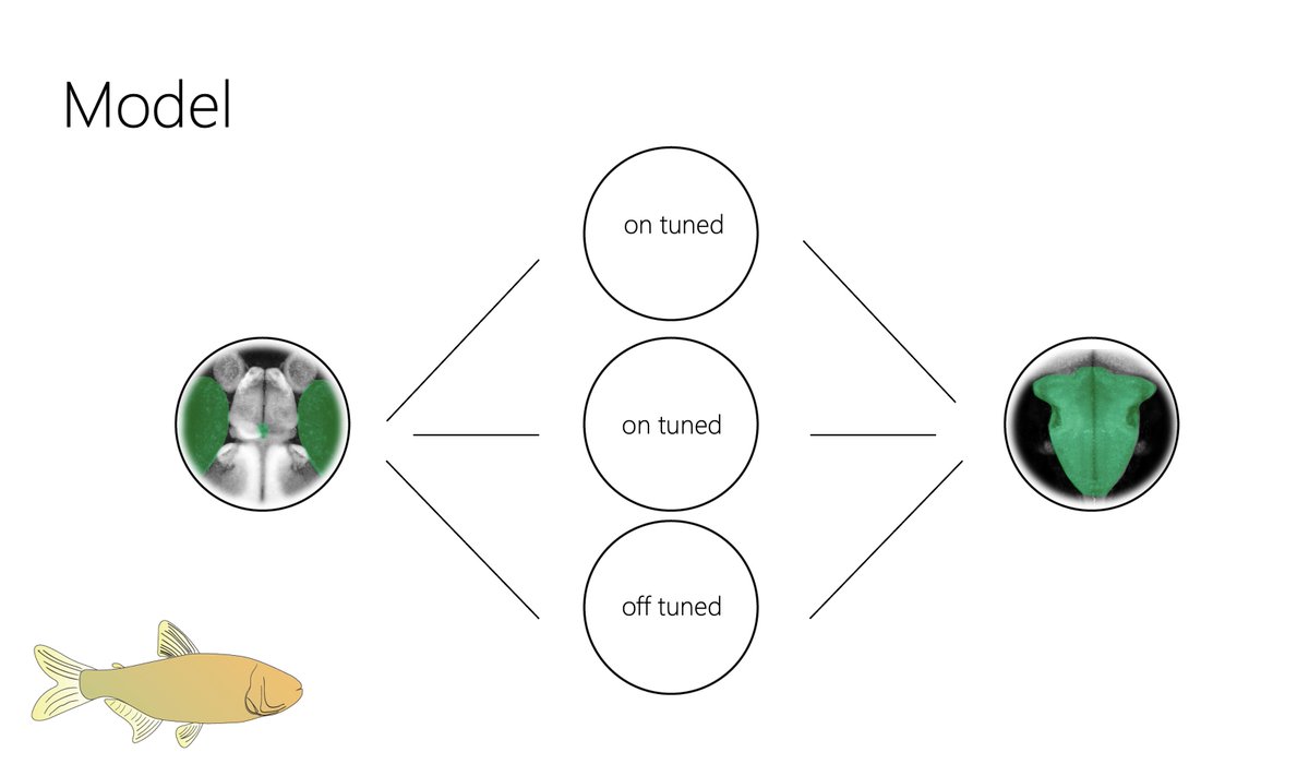 Erik Duboué tweet media