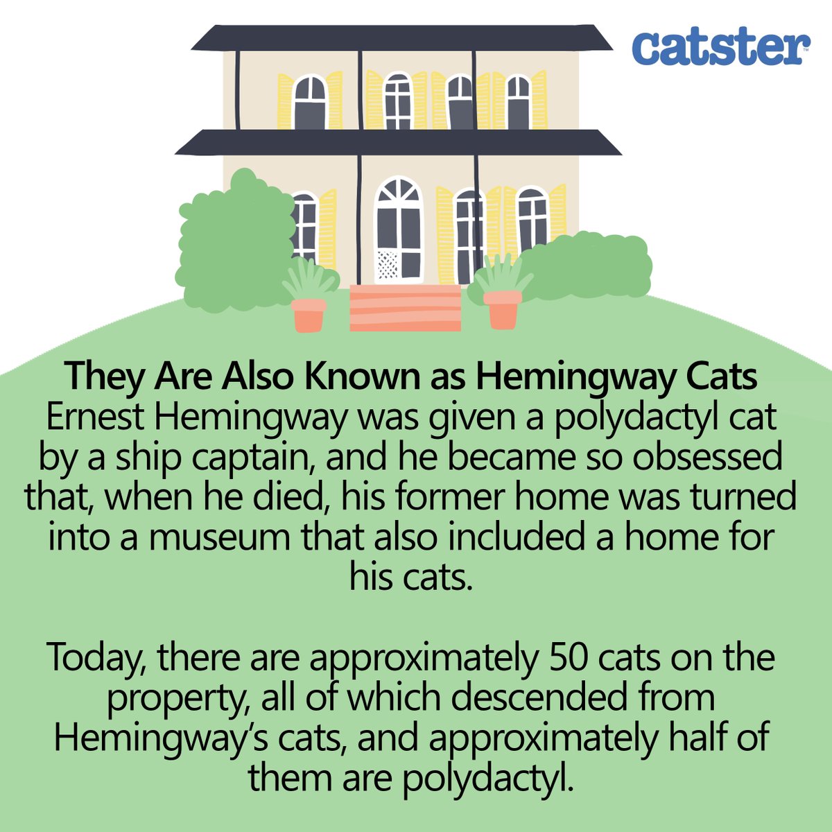 catster's tweet photo. Polydactylism is when an animal has a higher-than-usual number of fingers and toes. It is actually surprisingly common in some animals, including cats. πΎ
π Read more about polydactyl cats here: https://t.co/yBDpBCtgft
#cats #polydactylcats #catfacts https://t.co/Loe1b7AQqv