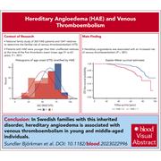 Blood Journals Portfolio tweet media
