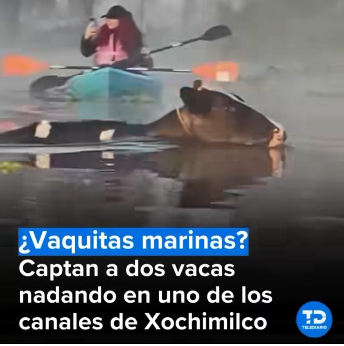 salvadorc87's tweet photo. #PoderosoPotro quería compartirlo desde hace mucho. https://t.co/T7o6OGVDxc