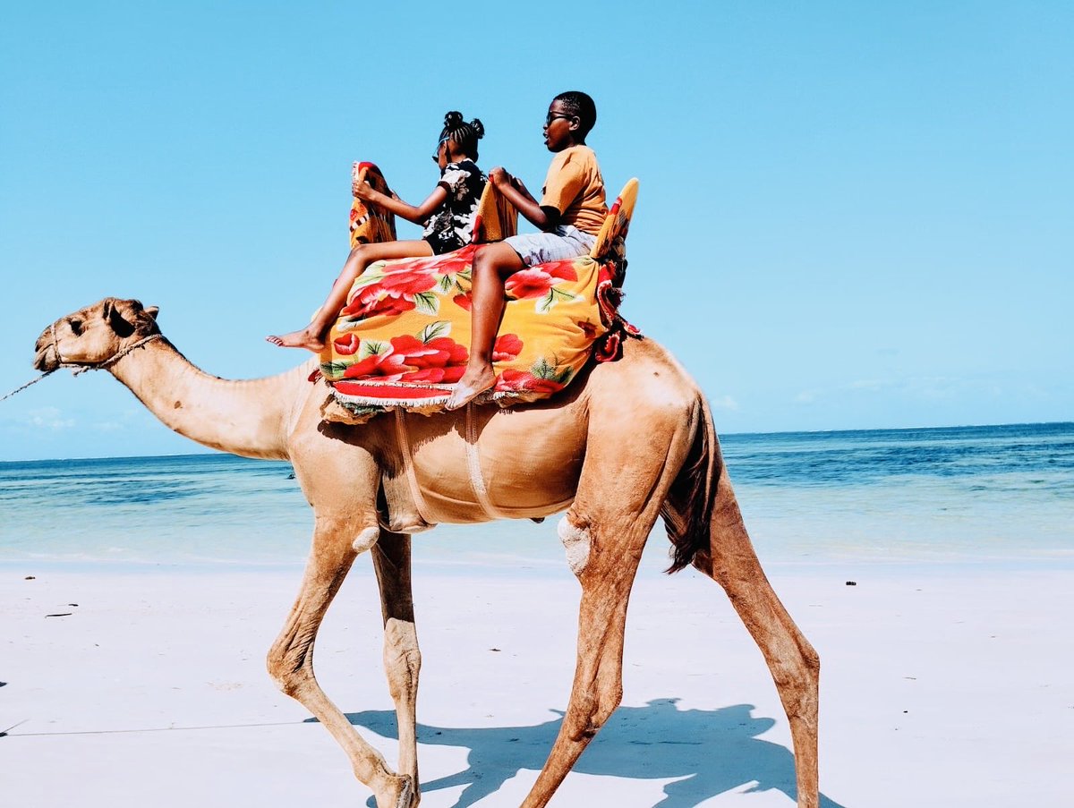 SemeDoug's tweet image. 💥🥰🙏🏽🛫