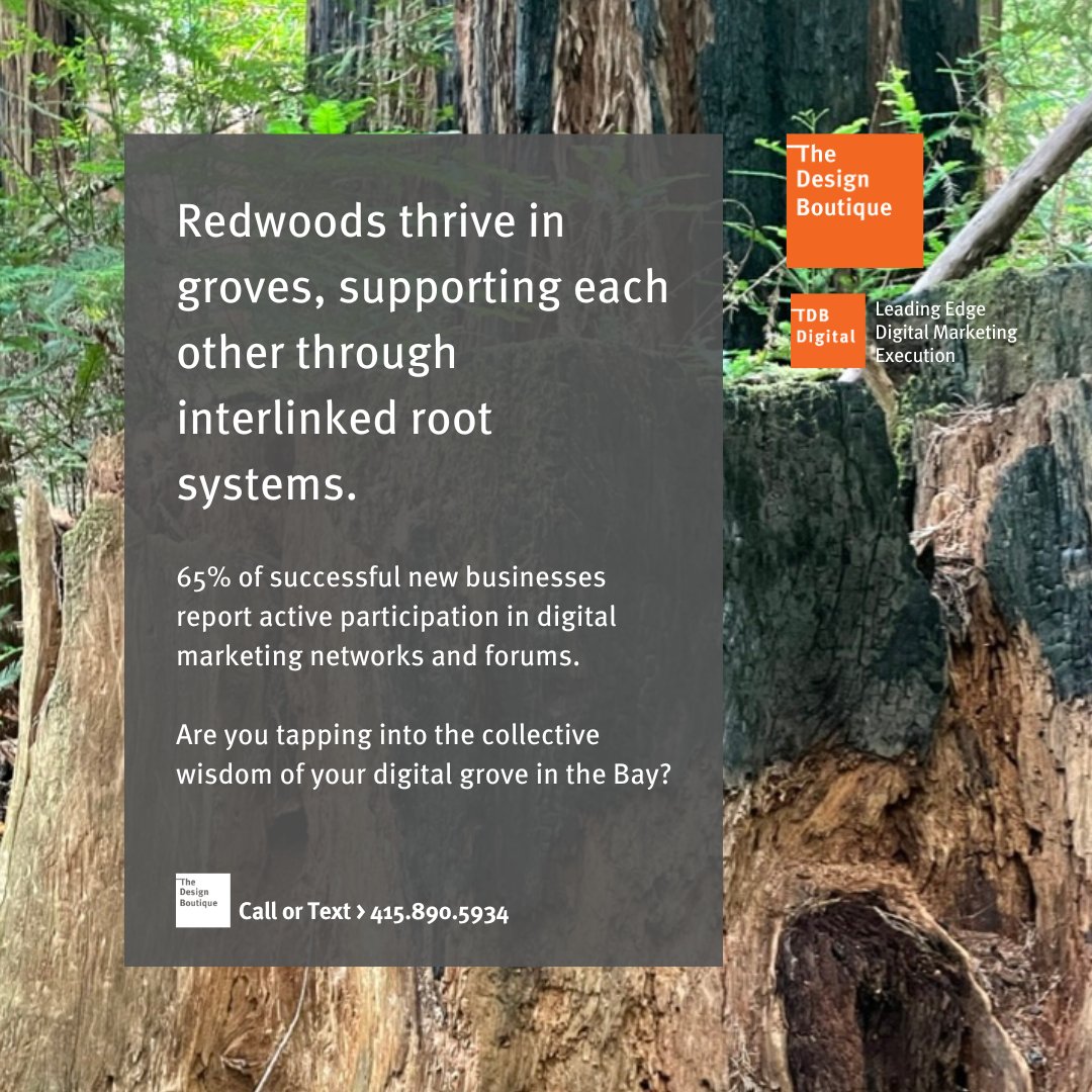DesignBoutique's tweet photo. Are you tapping into the collective wisdom of your digital grove in the Bay Area?
#BayAreaStartups #DigitalMarketing #Community #Collaboration https://t.co/UGz31eiDCF