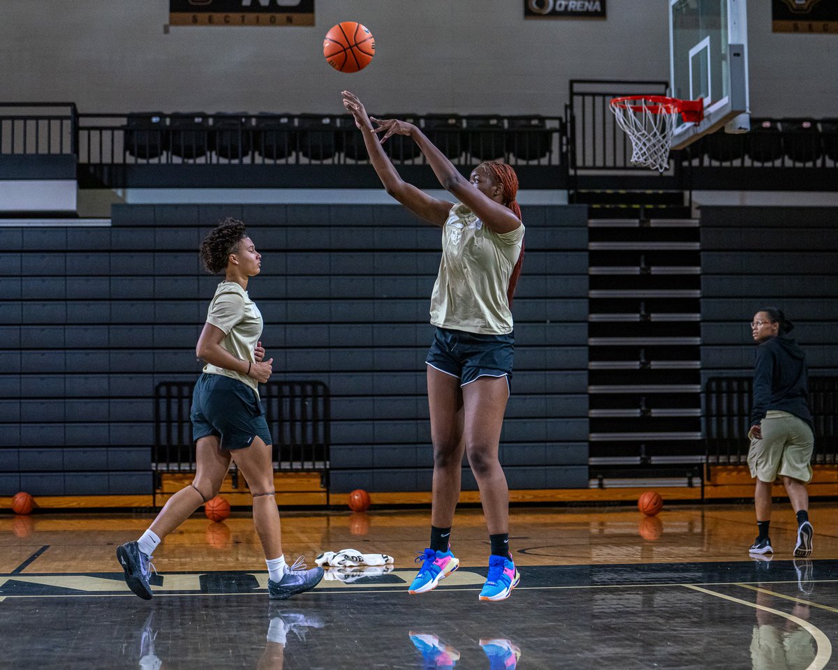 Oakland Women's Basketball tweet media