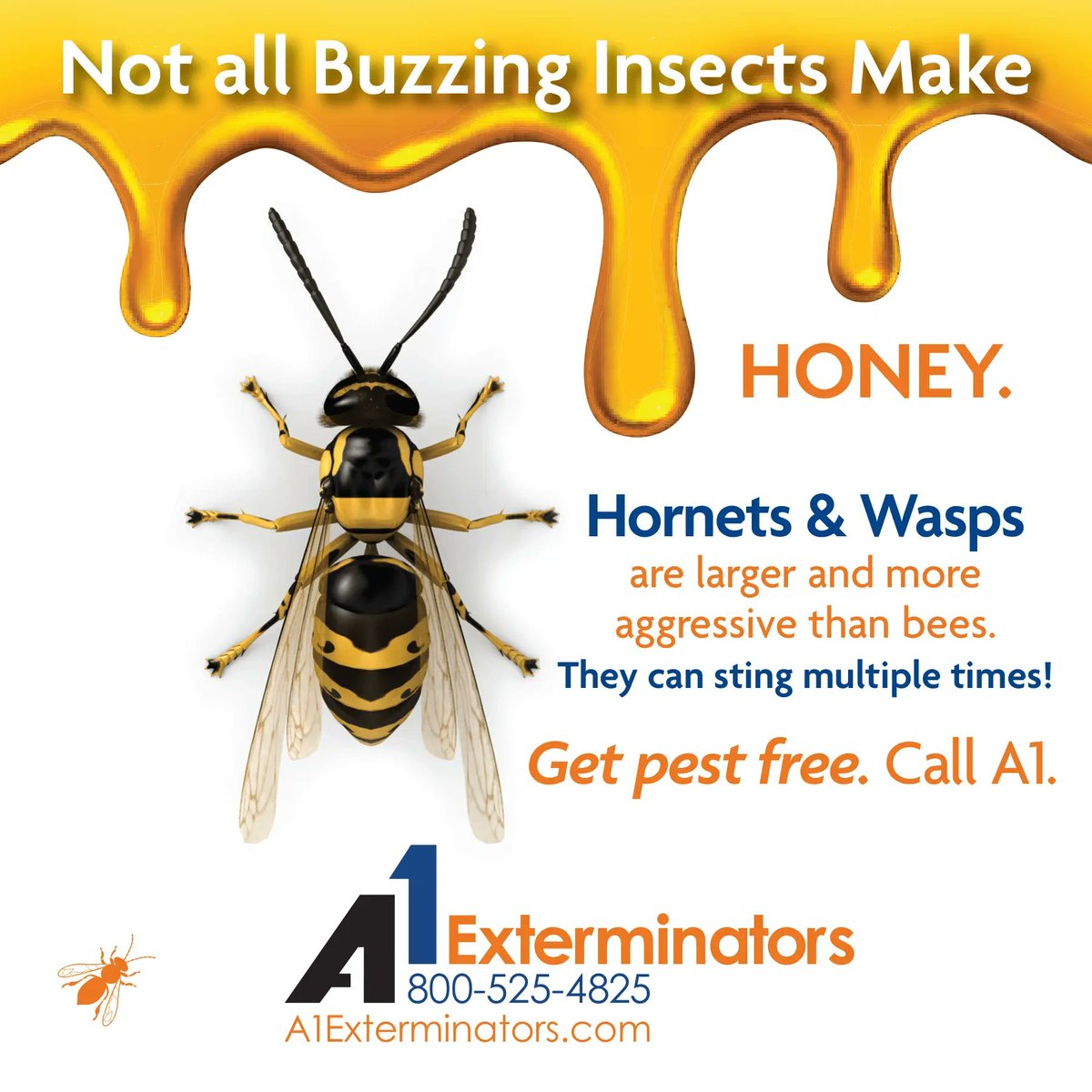 A1Exterminators's tweet image. Hornets and wasps can sting multiple times, and their venom can cause serious reactions in some people. A1 Exterminators&apos; pest control services can eliminate these pests from your home and yard shorturl.at/45aLR?utm_sour… #PestControl #HornetControl