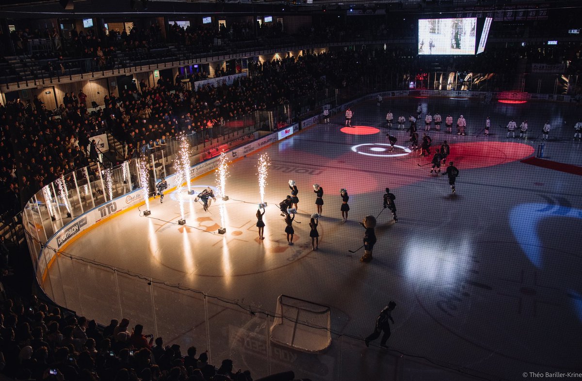 Les Ducs d'Angers tweet media