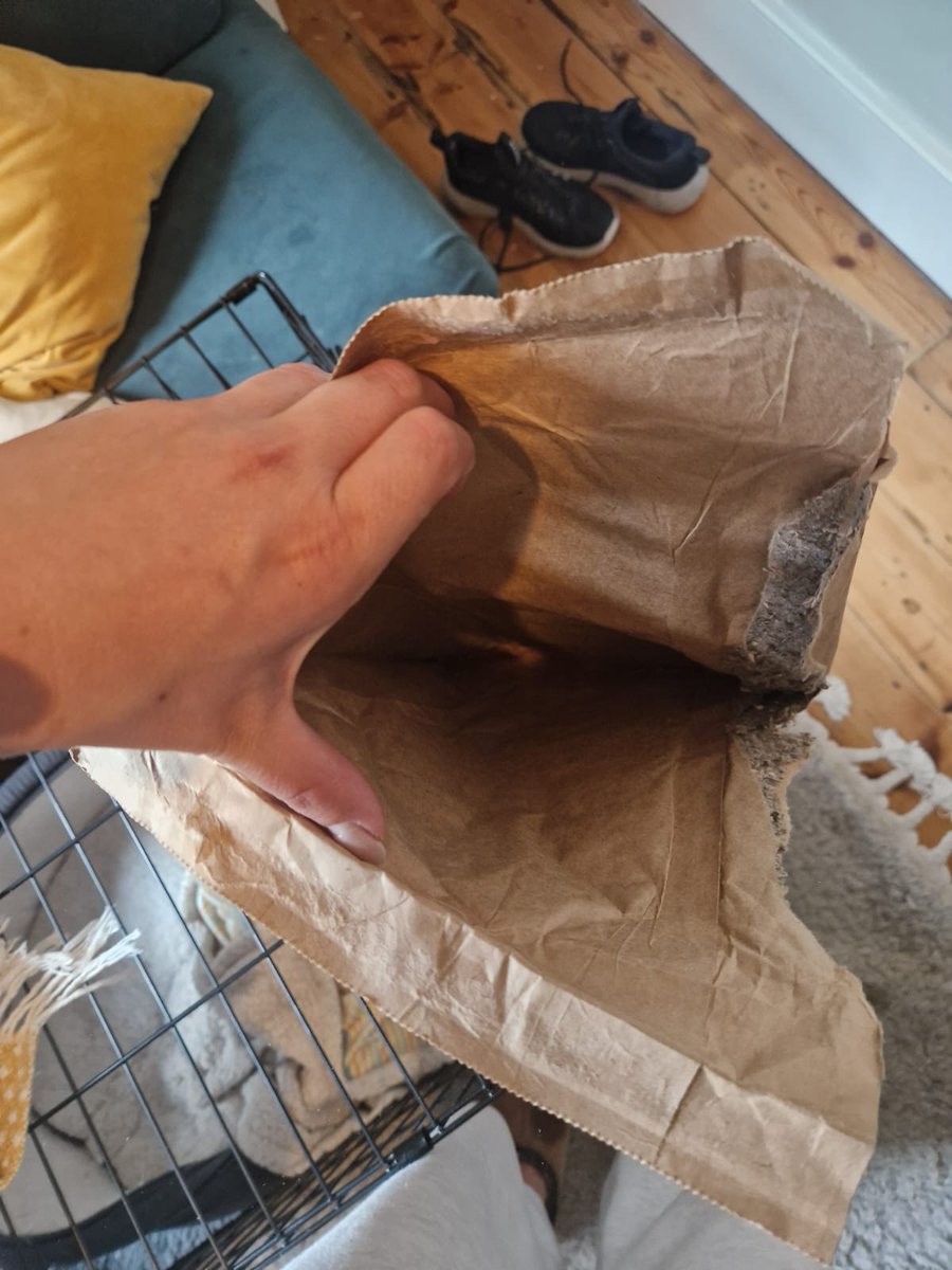 Harriette Casey tweet media