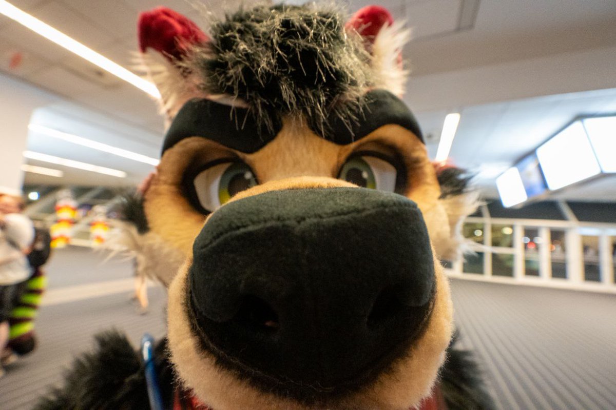 The nose stares into your soul. Smells gay in there.

#FursuitFriday 
📸: @AkyrF 
👔: <a href="/mixedcandy/">Mixedcandy Inc</a>