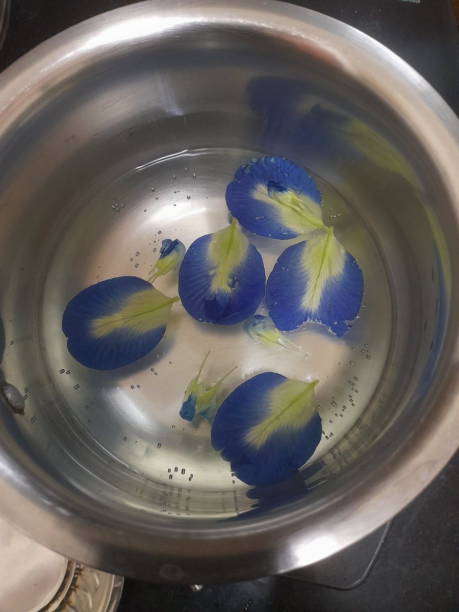 mayilravi's tweet photo. எப்புடி இருந்த நான் இப்படி ஆயிட்டேன்.....சங்குப்பூ
#Blue_tea making...💙 https://t.co/FwwF3ZPRgC